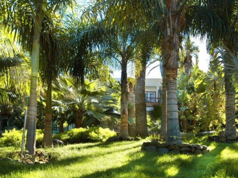 Hacienda San Jorge
