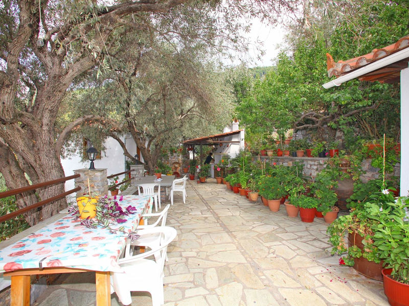Kastri