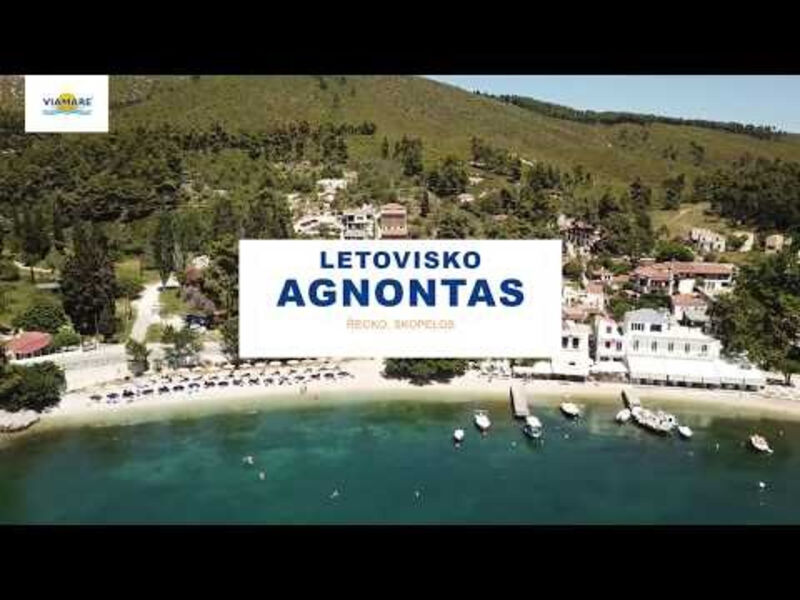 Studia Korina