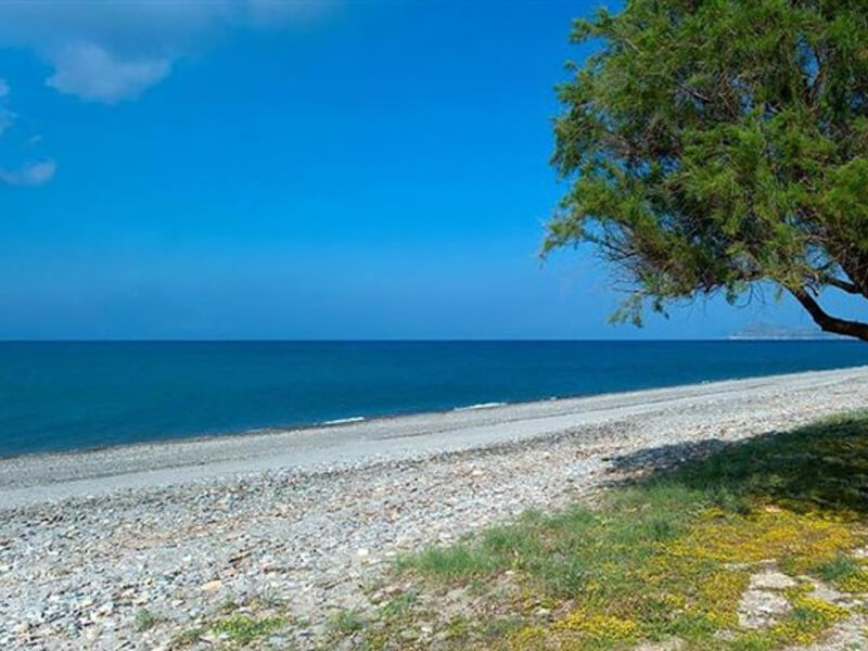 Ledra Maleme