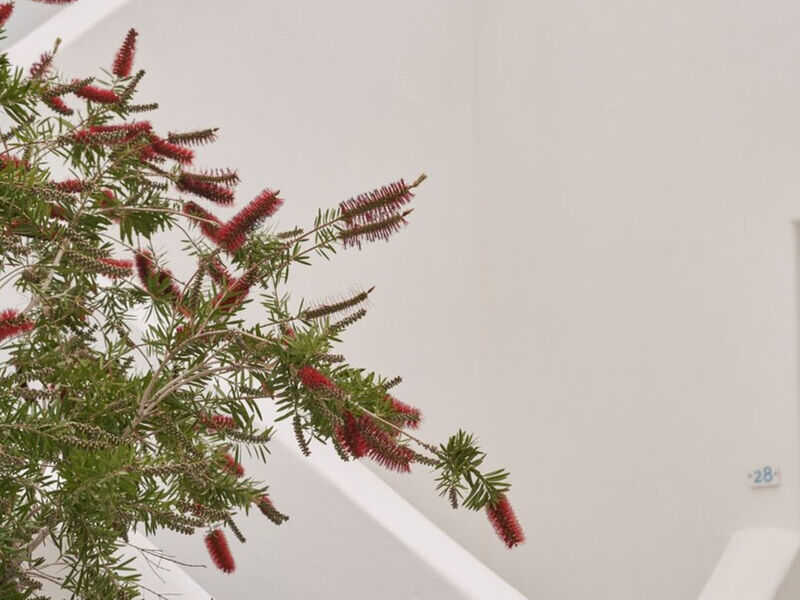 Makris Hotel Apartments