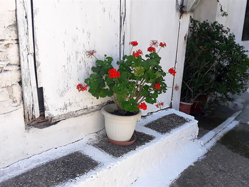 Apartmánový Dům Marin