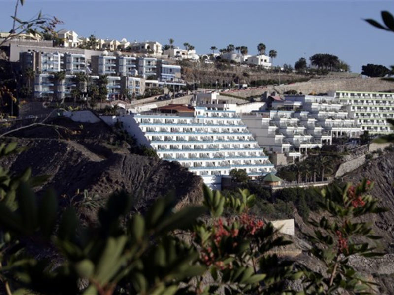 Palmera Mar