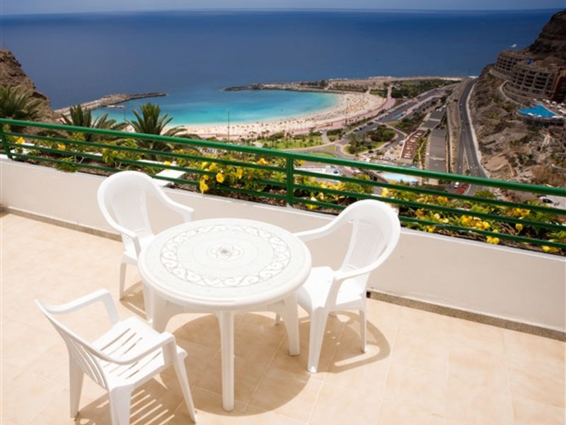 Palmera Mar