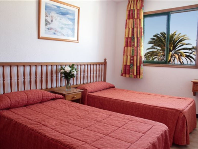 Palmera Mar