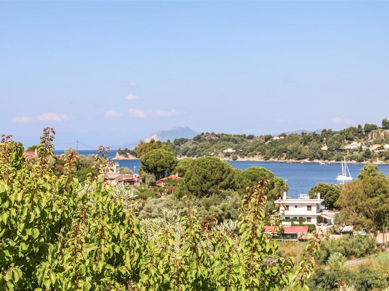 Studia a Apartmány Pandora
