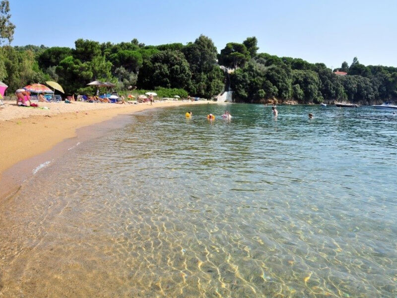 Studia a Apartmány Pandora