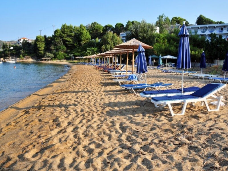 Studia a Apartmány Pandora