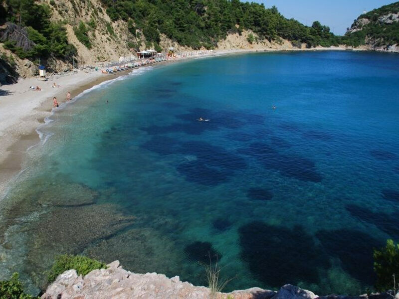 Studia Panorama