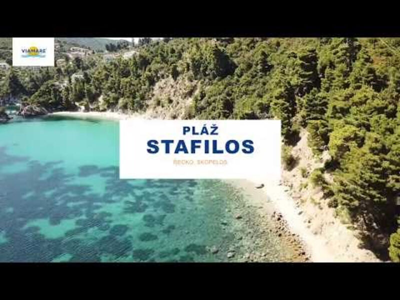 Studia Panorama