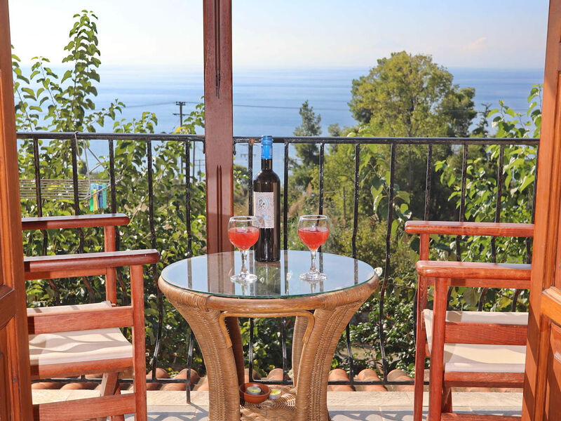 Studia Panorama