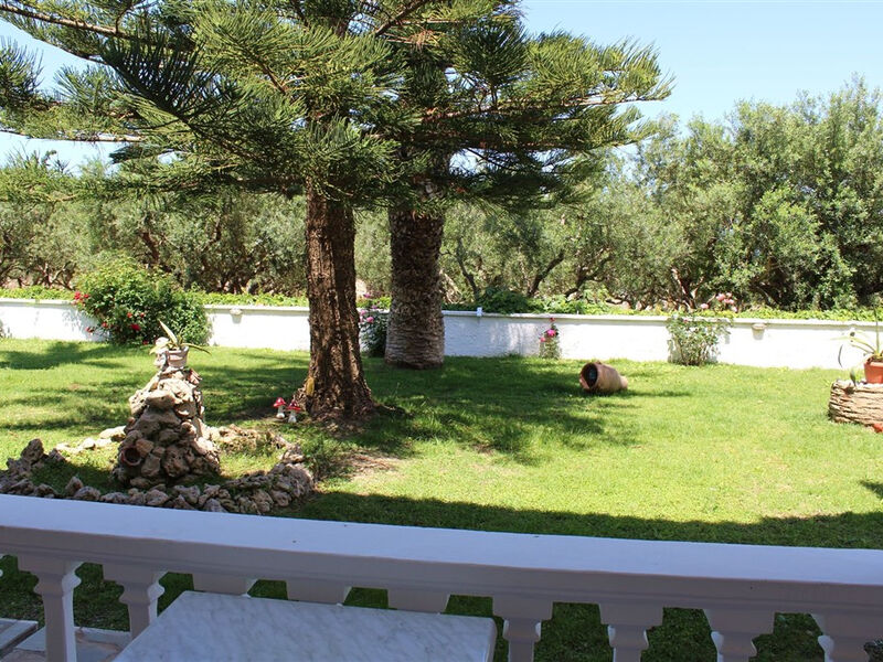 Panorama