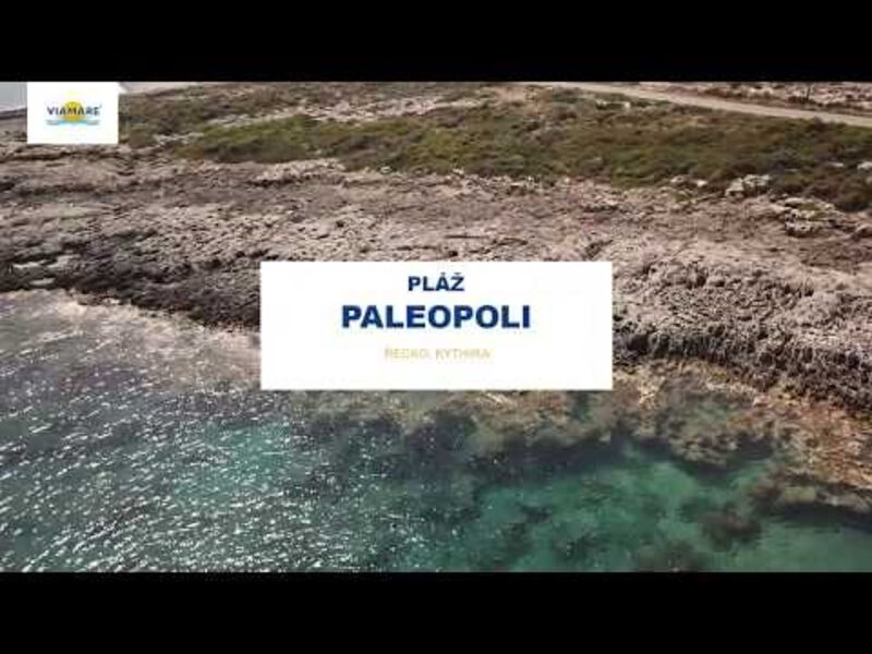 Pantonia