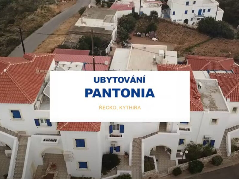 Pantonia