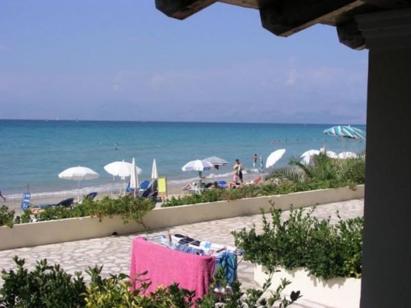 Studia Pelagia