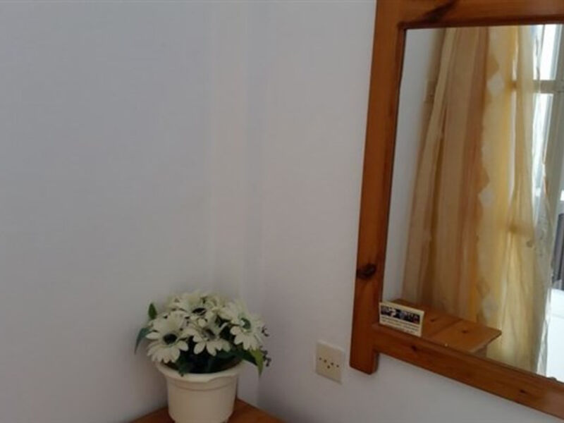 Studia Rita