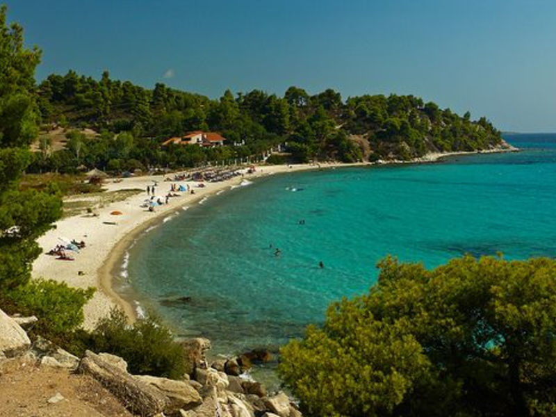 Sakis