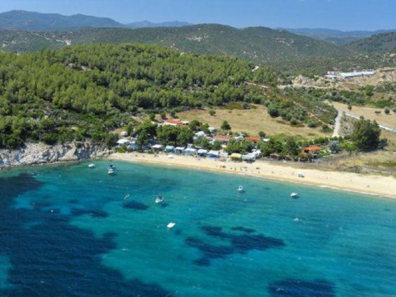 Sakis