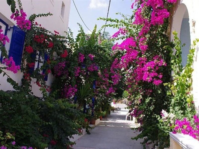 Santorini Houses