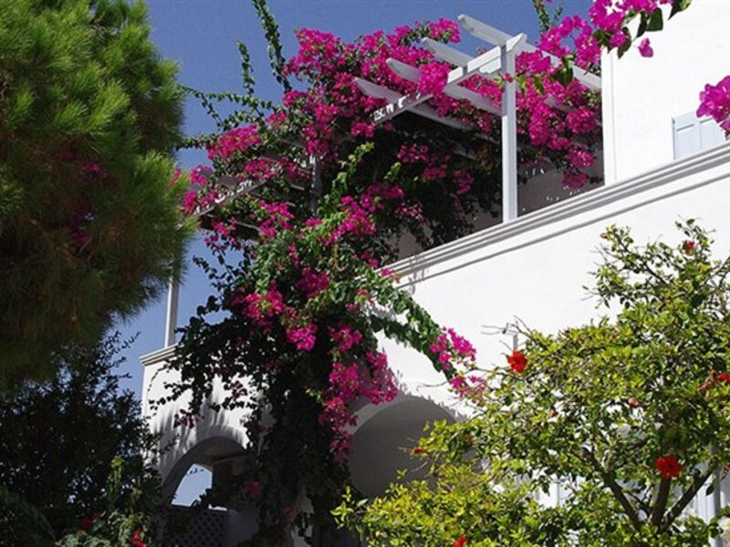 Studia Santorini Houses