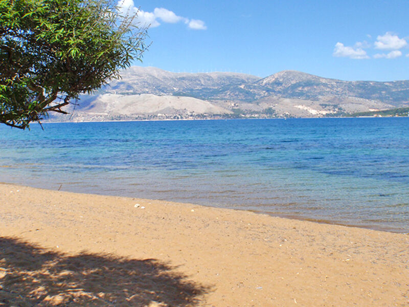 Sea Breeze