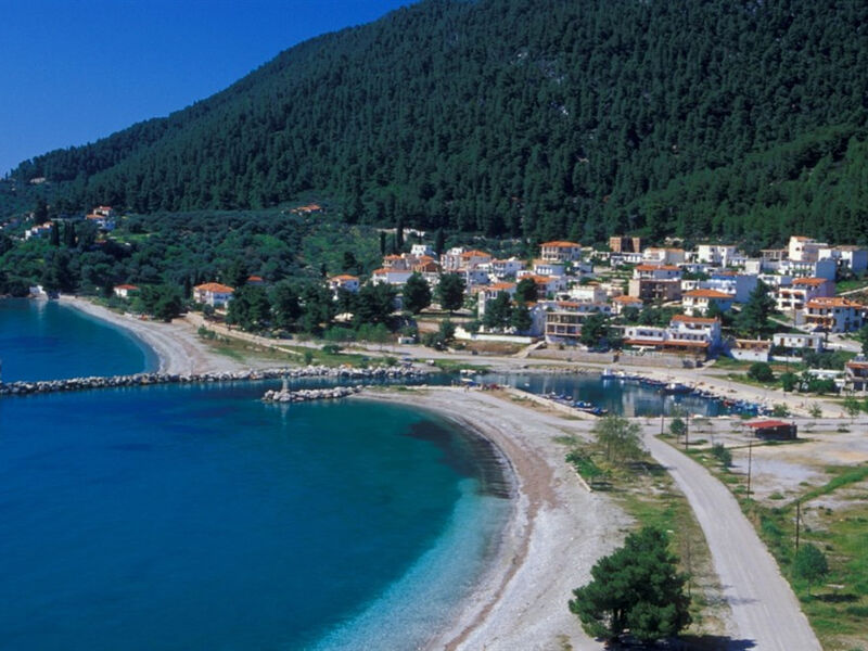 Studia Alexios