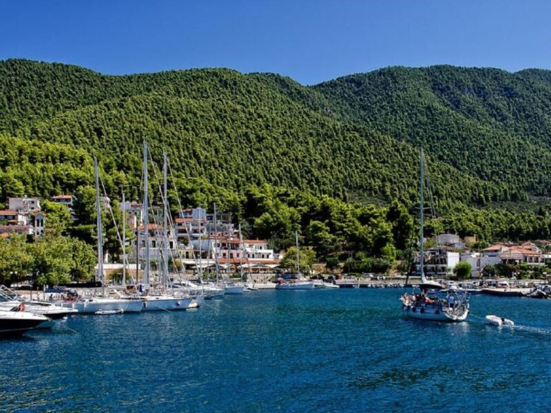 Studia Alexios