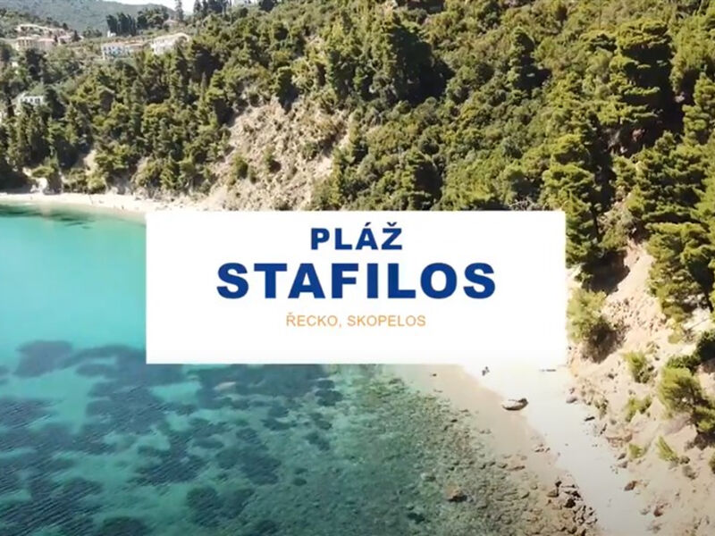 Studia Alexios