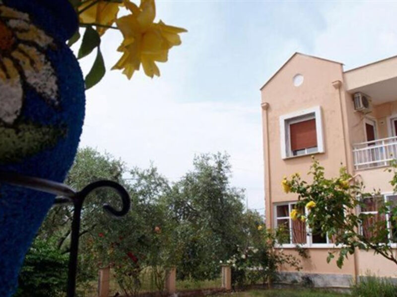 Studia Amarilia