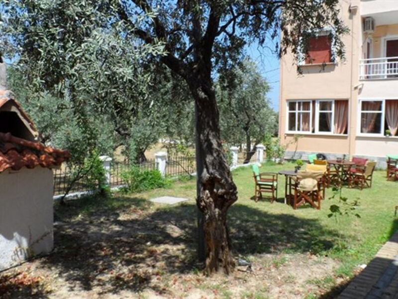 Studia Amarilia
