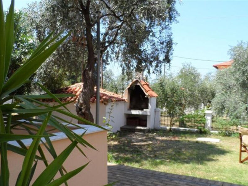Studia Amarilia