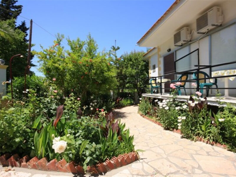 Studia Kostas