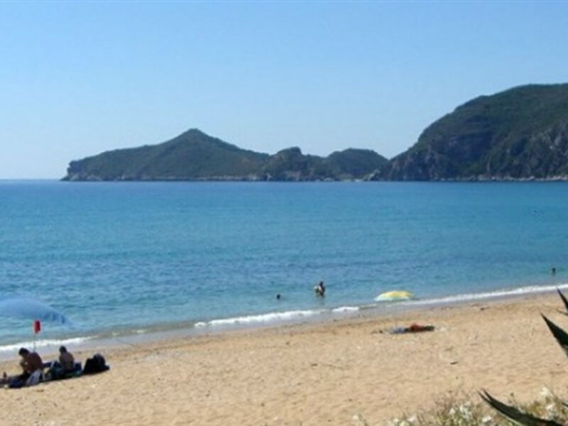 Studia Kostas