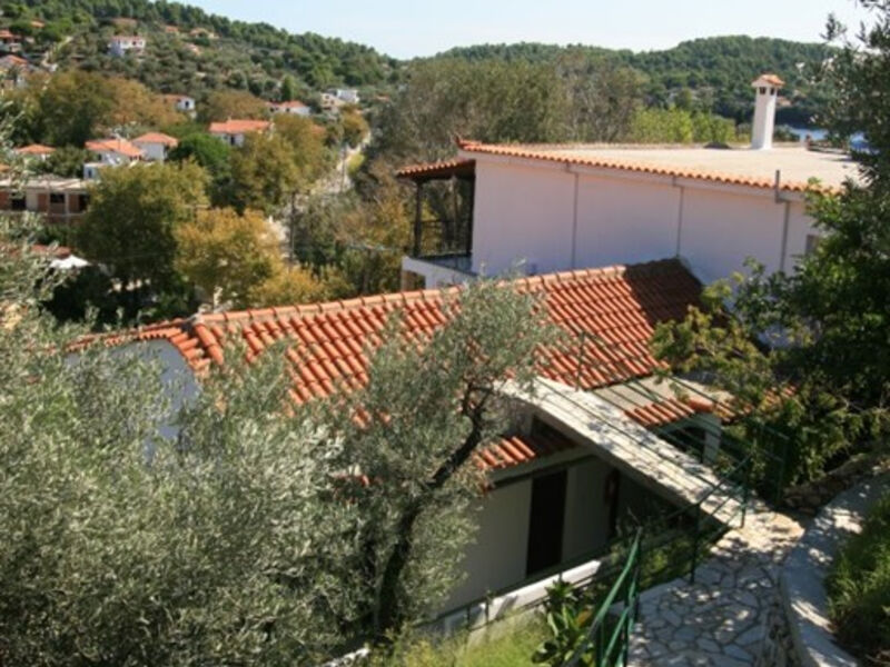 Telis