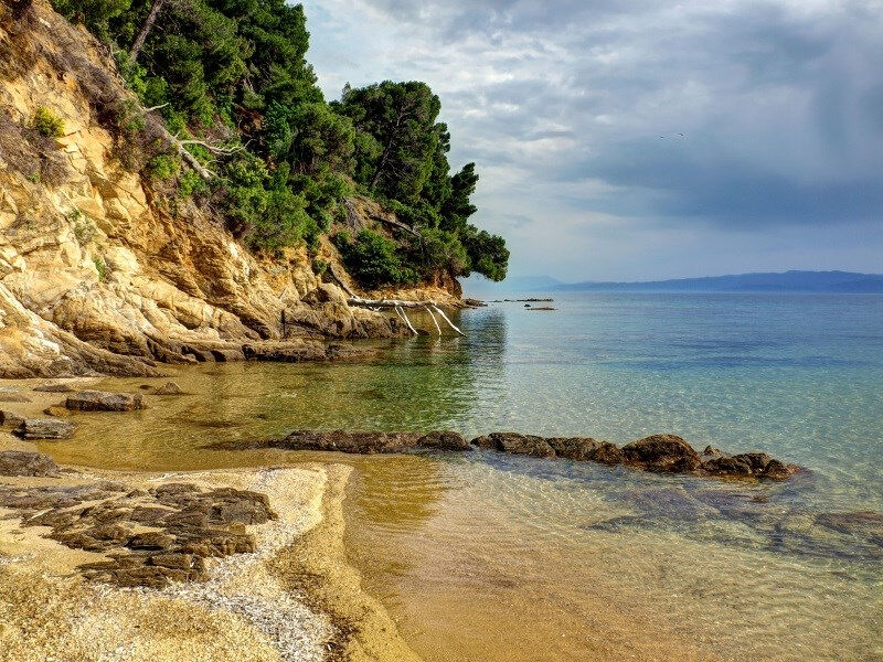 Telis