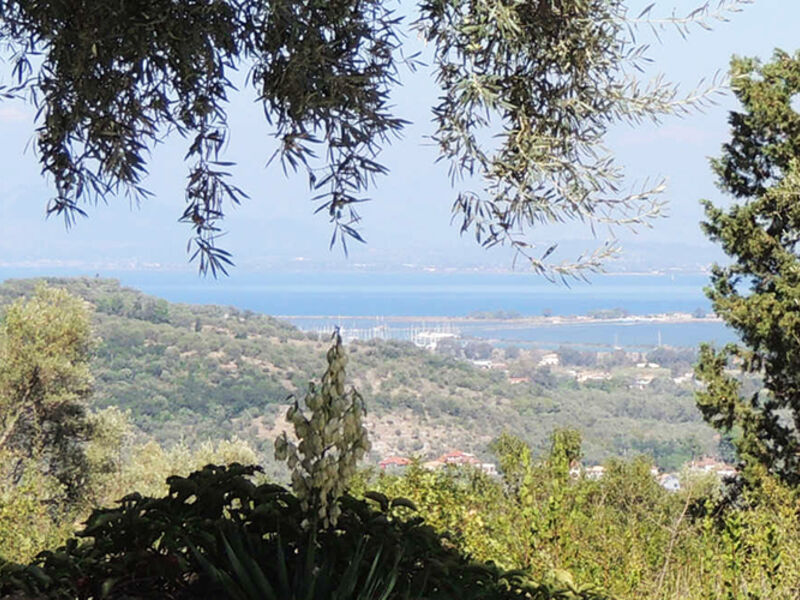 Villa Pergola