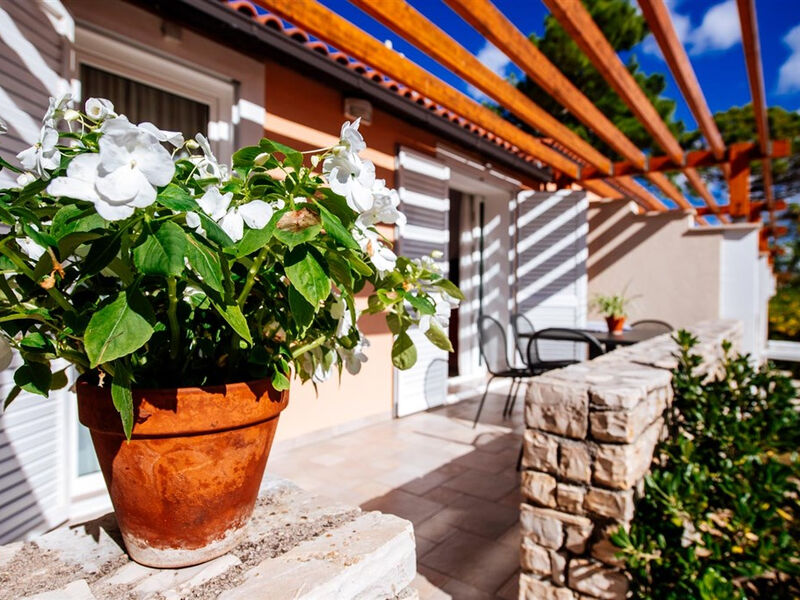 Apartmány Zaton Holiday Resort 4