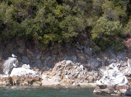 Last minute město Zakynthos - ilustrační fotografie