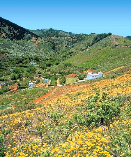 Gran Canaria - ilustrační fotografie