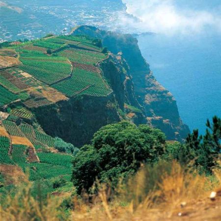 ostrov Madeira - ilustrační fotografie